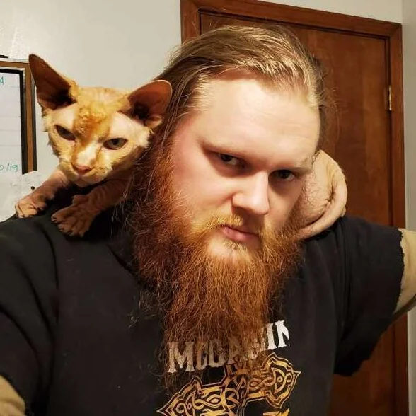 cornish rex cat on man shoulders